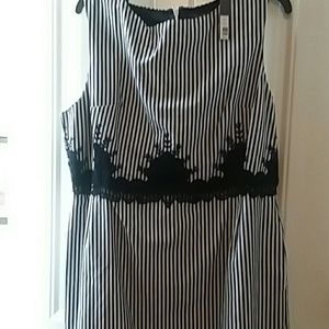 Ladies Dressy Limited Dress